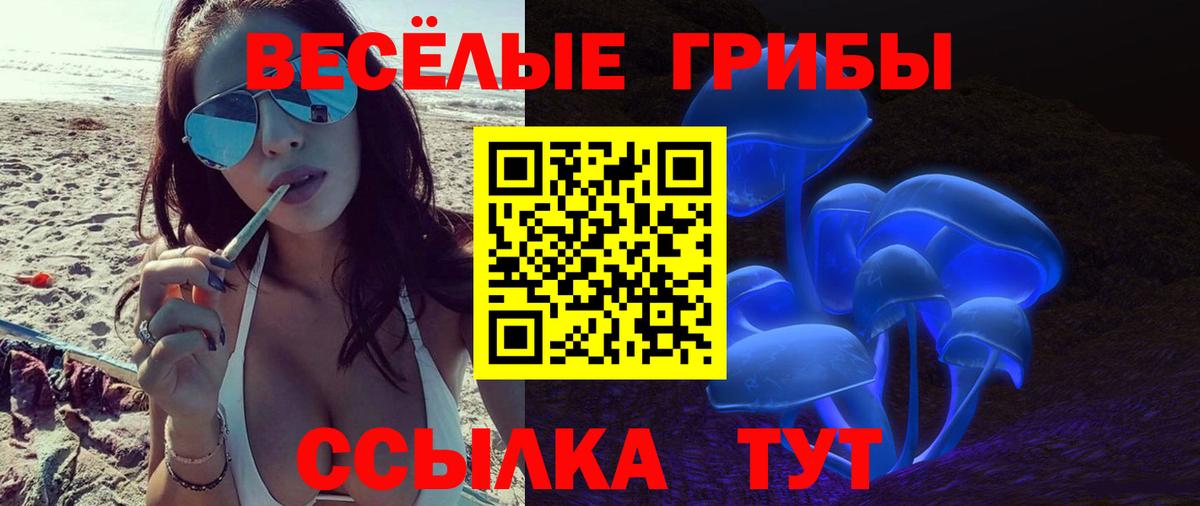 Псилоцибиновые грибы Psilocybine cubensis  Псилоцибиновые грибы MAGIC MUSHROOMS  Сибай  Вход с VPN 