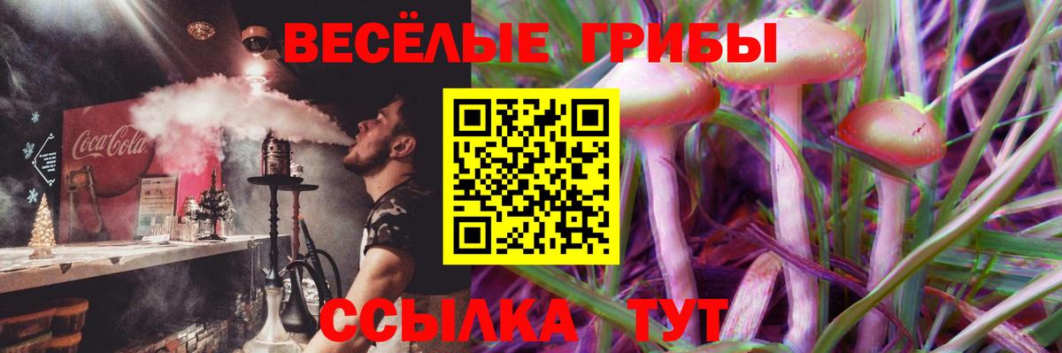 Галлюциногенные грибы мицелий Сибай